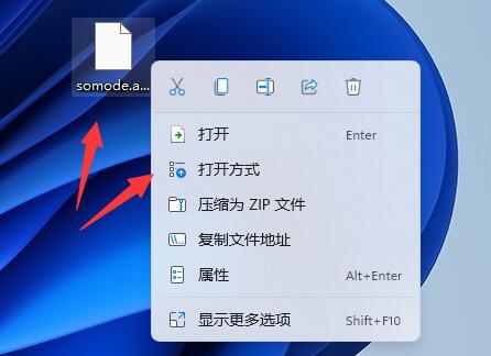 手机aspx文件怎么打开图2