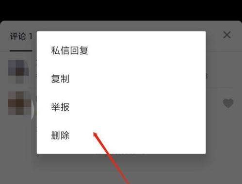 抖音删除评论对方有提示吗图2