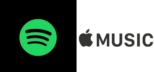 spotify怎么读 spotify阅读方法图1