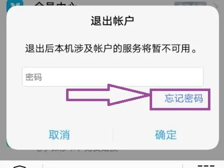 vivo云服务密码忘了怎么解除 vivo云服务密码处理方法图2