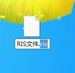 ris文件怎么转为PDF图3