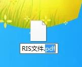 ris文件怎么转为PDF图4