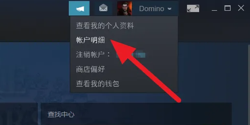 steam账号区服怎么看 steam账号区服查看方法图2