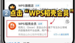 wps稻壳会员免费领取7天2023图2