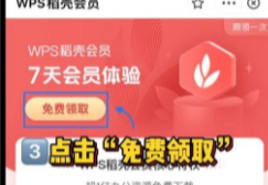 wps稻壳会员免费领取7天2023图3