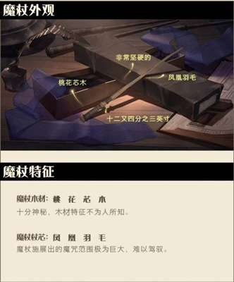 哈利波特手游魔杖的长度是多少图2